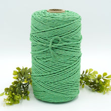 Load image into Gallery viewer, 3mm Recycled String (37 colours!)