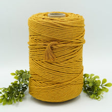Load image into Gallery viewer, 5mm Recycled String (28 colours!)