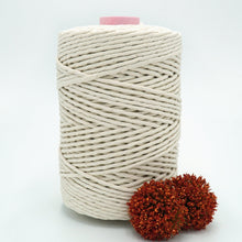 Load image into Gallery viewer, 5mm Recycled String (28 colours!)