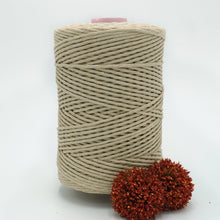 Load image into Gallery viewer, 3mm Recycled String (37 colours!)