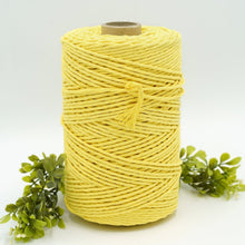 Load image into Gallery viewer, 3mm Recycled String (37 colours!)