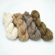 Load image into Gallery viewer, 1 Ply Merino Art Yarn